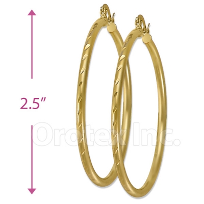 103100 Gold Layered Hoop Earrings